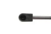 Амортизатор крышки багажника Audi A3 04-13 (хэтчбэк) MAGNETI MARELLI 430719081500 (фото 3)