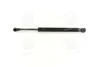 Амортизатор багажника VW JETTA (вир-во Magneti Marelli кор.код. GS0817) MAGNETI MARELLI 430719081700 (фото 1)