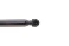 Амортизатор крышки багажника Citroen Berlingo1.6/1.6HDi 08- MAGNETI MARELLI 430719101800 (фото 2)