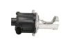 Клапан EGR VW Caddy/T5 1.9TDI 75kw 03- MAGNETI MARELLI 571822112079 (фото 1)