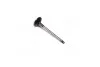 Клапан OPEL IN 1,8/2,5 16V/24V (вір-во Mahle) MAHLE / KNECHT 011 VE 30457 000 (фото 1)