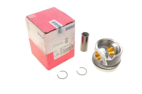 Поршень VW Caddy/Crafter 2.0TDI 10- (81.01mm/STD) MAHLE / KNECHT 028PI00116000
