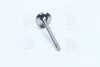 Клапан випуск. Caddy III 1.4 i 04- MAHLE / KNECHT 029 VA 30529 100 (фото 2)