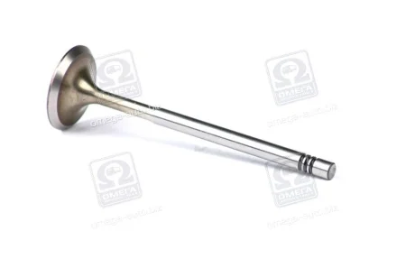 Клапан (впуск) VW Caddy II/III/Golf 1.4/1.6FSI/TSI 00- (29.5x6x100,9) MAHLE / KNECHT 029 VE 30528 000