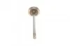Клапан (впуск) VW LT 2.8TDI 96-116KW (33x7x105.2) MAHLE / KNECHT 029 VE 31162 000 (фото 3)