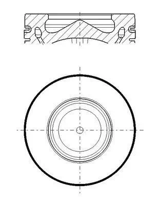 Поршень MAHLE / KNECHT 081 PI 00119 000 (фото 1)