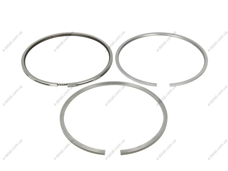 Кольца поршневые(1cyl) RVI 102.0(3,5/2,5/4) Dci 6 Euro3 MAHLE / KNECHT 209 72 N0 (фото 1)