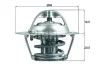 Термостат системи охолодження MAHLE / KNECHT TX20482D (фото 1)