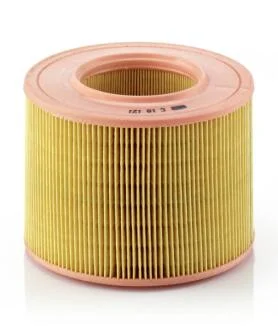 Фільтр повітряний двигуна ARO ARO10 1.9D F8QA6 MANN C18121