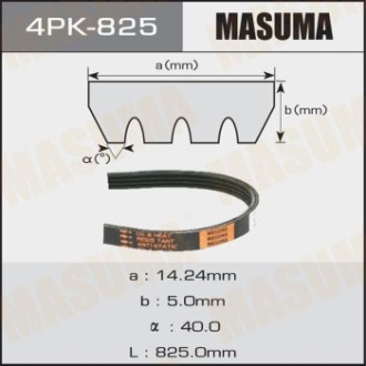 Ремінь поліклінової 4PK- 825 MASUMA 4PK825