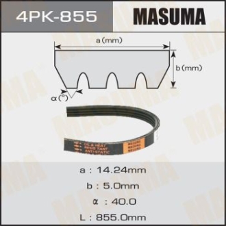 Ремінь поліклінової 4PK- 855 MASUMA 4PK855