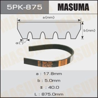 Ремінь поліклінової 5PK- 875 MASUMA 5PK875