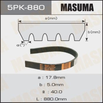 Ремінь поліклінової 5PK- 880 MASUMA 5PK880
