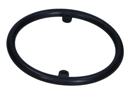Ущiльнення оливний радiатор MAXGEAR 700115