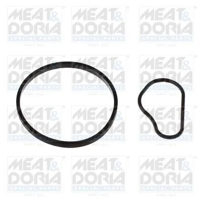 Прокладка насоса вакуумного (к-кт) Fiat Scudo/Citroen Berlingo/Peugeot Expert 1.6D/HDi 07- MEAT&DORIA 91252 (фото 1)
