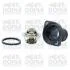 Термостат Citroen Berlingo/Peugeot Partner 1.1/1.4/1.6 16V 02-11 (89°C) MEAT&DORIA 92082 (фото 1)
