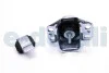 Подушка двигуна Kangoo/Clio 1.9D/1.2-1.6i Пр. Metalcaucho 04028 (фото 2)