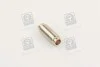 Напрямна клапана IN/EX RENAULT F3P/F3R/F8Q (вір-во) Metelli 01-2582 (фото 1)