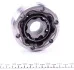 Шрус (внутренний) Audi A3 96-03/Seat Leon/Toledo 98-06/Skoda Octavia 96-10/VW Golf 97-13 (33z/94mm) Metelli 16-1022 (фото 14)