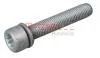 Болт с головкой системы TORX из черного металла METZGER 6250007S (фото 1)