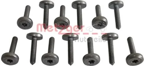 Набір гвинтів з внутр. шестигранником METZGER 8029025