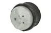 Подушка двигуна (L) MB E-class (W211) 2.2D 02-08 (гідравлічна) MEYLE 014 024 0117 (фото 1)