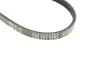 Ремень генератора Citroen Jumper/Peugeot Boxer 2.5D 96-02 (3PK865) MEYLE 050 003 0865 (фото 4)
