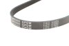 Ремінь генератора Honda Civic VI/Nissan Primera/Citroen Berlingo 1.4-1.6 16V 94-05 (4PK800) MEYLE 0500040800 (фото 5)