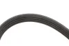 Ремень генератора Citroen Berlingo/Peugeot Partner 1.1/1.4/1.6 96- (4PK855) MEYLE 0500040855 (фото 2)