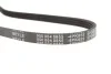 Ремень генератора Citroen Berlingo/Peugeot Partner 1.1/1.4/1.6 96- (4PK855) MEYLE 0500040855 (фото 3)