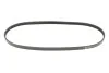 Ремень генератора Fiat Doblo 1.6i 01- (4PK875) MEYLE 050 004 0875 (фото 1)