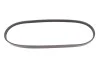 Ремень генератора BMW X5 (E53) 3.0D 03-/Opel Astra G 1.7TD -00 (4PK884) MEYLE 050 004 0884 (фото 1)