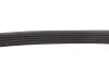 Ремінь генератора BMW 3 (E46)/5 (E39) 1.8D/2.0D 98-03 (5PK835) MEYLE 050 005 0835 (фото 3)