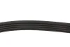 Ремінь генератора Fiat Tempra 1.9TD 90-96 (5PK900) MEYLE 050 005 0900 (фото 2)