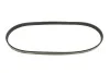 Ремінь генератора Fiat Tempra 1.9TD 90-96 (5PK900) MEYLE 050 005 0900 (фото 4)