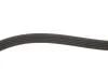 Ремень генератора BMW 3 (E36)/5 (E34/E39)/Hyundai (5PK1815) MEYLE 050 005 1815 (фото 3)