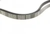 Ремень генератора Opel Omega B 2.5DTI 01-03/Land Rover Range Rover 3.0D 02-12 (5PK2020) MEYLE 050 005 2020 (фото 2)