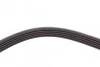 Ремінь генератора BMW 3 (E46)/5 (E39) 1.8D/Land Rover 2.0 Td4 4x4 00-06 MEYLE 050 005 2030 (фото 3)