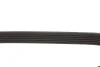 Ремень генератора Fiat Scudo/Citroen Berlingo 1.9D/TD 96- (6PK1110) MEYLE 050 006 1110 (фото 4)