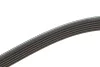 Ремень генератора VW Jetta 2.0 (6PK1195) MEYLE 050 006 1195 (фото 3)
