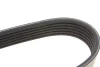 Ремень генератора Renault Kangoo 1.9D 98- (6PK1400) MEYLE 050 006 1400 (фото 2)