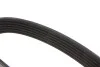 Ремінь генератора Citroen Berlingo/Fiat Scudo 1.9D (1868) (6PK1438) MEYLE 050 006 1438 (фото 2)