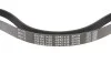 Ремінь генератора Citroen Berlingo/Fiat Scudo 1.9D (1868) (6PK1438) MEYLE 050 006 1438 (фото 3)
