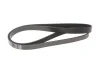 Ремінь генератора Citroen Berlingo/Fiat Scudo 1.9D (1868) (6PK1438) MEYLE 050 006 1438 (фото 4)