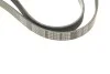 Ремень генератора Opel Astra F/Corsa B/Vectra B 1.4-1.8 94-03 (6PK1530) MEYLE 050 006 1530 (фото 3)