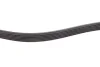 Ремень генератора Ford Transit 2.0-2.5 DI/TD 91-06 (6PK1637) MEYLE 050 006 1637 (фото 3)