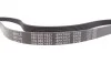 Ремень генератора Ford Transit 2.0-2.5 DI/TD 91-06 (6PK1637) MEYLE 050 006 1637 (фото 4)