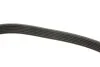 Ремінь генератора MB Vito OM601/602 (AC)/ M111 (PS) (6PK2020) MEYLE 050 006 2020 (фото 3)