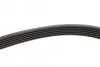 Ремень генератора VW LT 28-35/28-46 2.8TDI 01-06 MEYLE 050 006 2155 (фото 3)