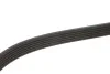 Ремень генератора MB Sprinter CDI (-AC) (с обводным роликом) (6PK2260) MEYLE 050 006 2260 (фото 2)